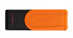 Kingston DataTraveler Exodia 256GB USB 3.2 Flash Drive (DTXS/256GB)