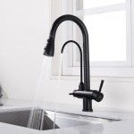 Homelody Extendible Tap with 3 Modes and Pure Water Kitchen Tap (SK3175MB)
