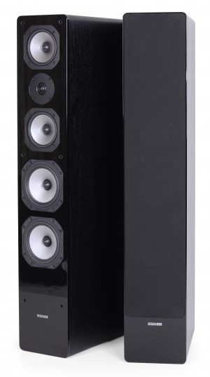 Dynavoice Challenger M-65 EX (v.4) (Set Of 2) Black