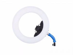 Ledgo R320C Bi-Color Flood Shoot-Through Led Ring (LG-R320C)