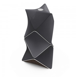 Bang&Olufsen 55 Beolab 90 Natural Forged Iron
