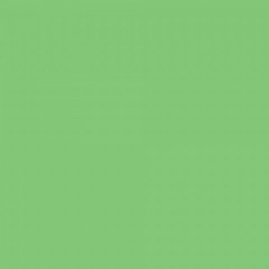 Falcon Eyes Background Paper 73 Summer Green 2.75x11m