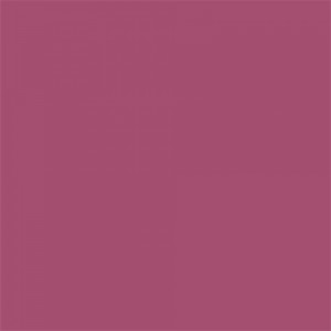 Falcon Eyes Background Paper 0062 Plum 2.75x11m
