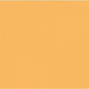 Falcon Eyes Background Paper 71 Sunflower 2.75x11m