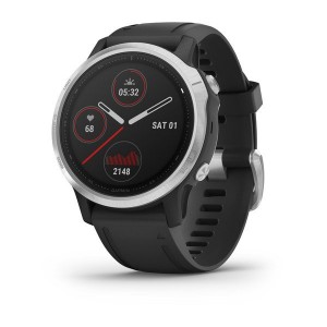 Garmin fenix 6S Silver with Black Band (010-02159-01)