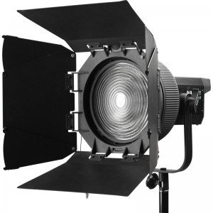 Nanlite Kit Nanlite Forza 300 with FL-20G Fresnel
