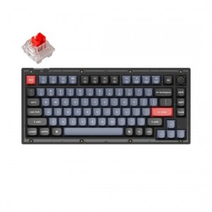 Keychron V1 75% Mechanical Keyboard (ANSI, Frosted Black, RGB, Hot-swap, US, Pro Red Switch)