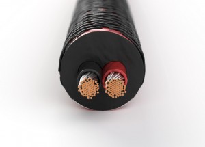 DALI Speaker Cable Connect SC RM230ST 1m (280342)