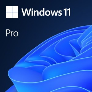Microsoft Windows 11 Pro OEM (FQC-10528)
