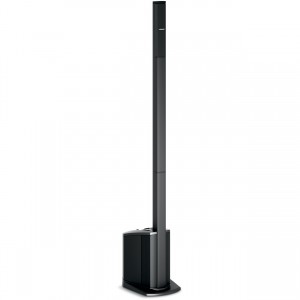 Bose L1 Model II with B2 Bass