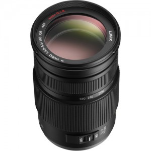 Panasonic Lumix G Vario 100-300mm f/4.0-5.6 MEGA O.I.S. (H-FS100300)