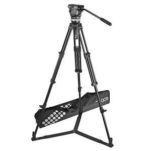 Sachtler System Ace M GS (1002)