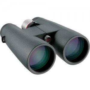 Kowa 12x56 BD XD PROMINAR Binocular (BD56-12XD)
