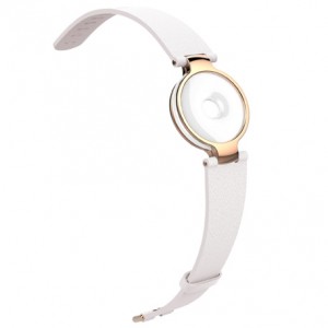 Xiaomi Amazfit Moonbeam
