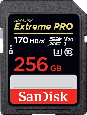 SanDisk 256GB Extreme Pro SDXC (SDSDXXY-256G-GN4IN)
