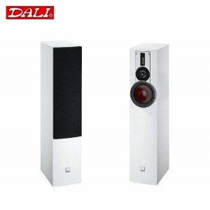 Dali RUBICON 5 White (Set of 2)