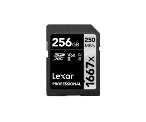 Lexar Professional 1667x SDXC 256GB Class 10, UHS-II (U3), V60, R250/W90 (LSD256CB1667)