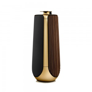 Bang&Olufsen Beolab 50 Brass Tone
