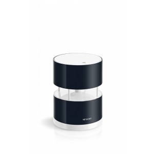 Netatmo Wind Gauge