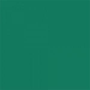 Falcon Eyes Background Paper 12 Deep Green 2.75x11m