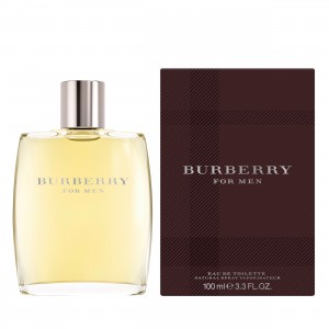 Burberry Eau de Toilette, 100ml (3614226905758)