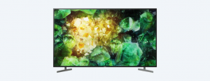 Sony KD-49XH8196