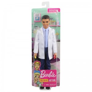 Mattel Barbie Core Ken Career Dentist (FXP01/GJL66)
