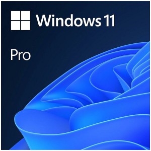 Microsoft Windows 11 Pro 64 bit ENG INTL 1PK DSP OEI DVD OEM English (FQC-10528)