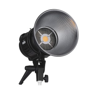 Quadralite VideoLED 600 Bi-color