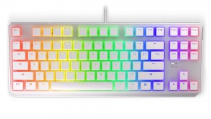 Endorfy Thock TKL mechanical keyboard with RGB Pudding Edition (US, Kailh RED switch)