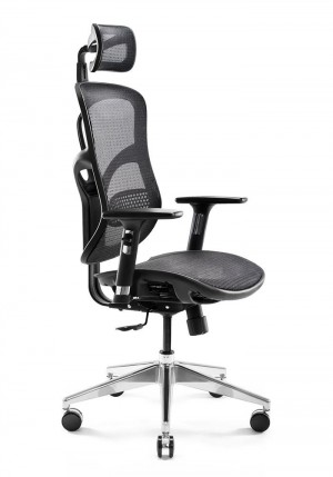 DIABLO V-BASIC Ergonomic Chair (Black)