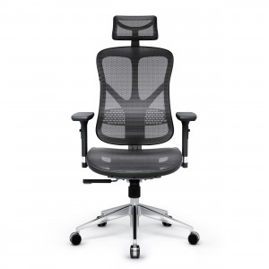 Diablo V-Basic Black - Grey Ergonomic Chair