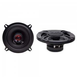 DD Audio RL-X5.25