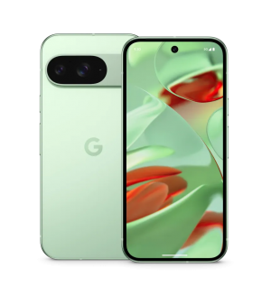 Google Pixel 9 5G Dual Sim 12GB RAM 128GB Wintergreen