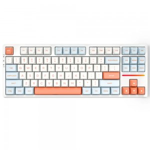 VGN V87 Orange, Silver Switch, US (VGN-V87-ORANGE-SS)