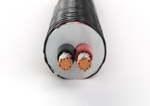 DALI Speaker Cable Connect SC RM230S 1m (280339)