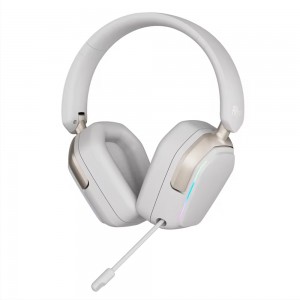 ROYAL KLUDGE HG101 Wireless, Platinum Gray