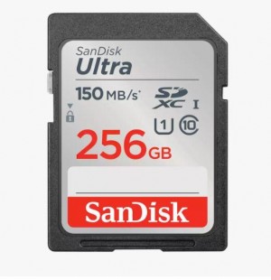 SANDISK MEMORY CARD SDXC 256GB UHS-I/SDSDUNC-256G-GN6IN
