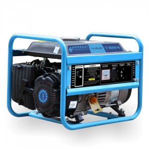 GENERATOR/GENERATOR 1KW, 230V THUNDER T-3000-B