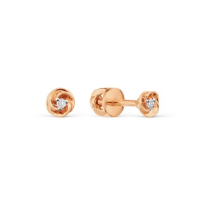 Earrings / Briljants