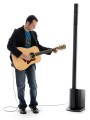 Bose L1 Model II with B2 Bass