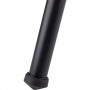 Benro Aluminum Monopod with S6 Head A48TDS6