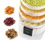 Zelmer ZFD2050W