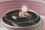 Ariete Cotton Candy Party Time (2971/1)