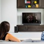Polk Audio Signa S1