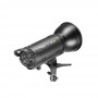 Quadralite DP-300