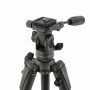 Vanguard VEO 2 235AP