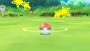 Nintendo Switch Pokemon: Let's Go! Eevee!
