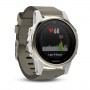 Garmin Fenix 5S Sapphire (010-01685-13)