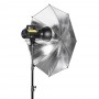 Quadralite Move X 300 Kit